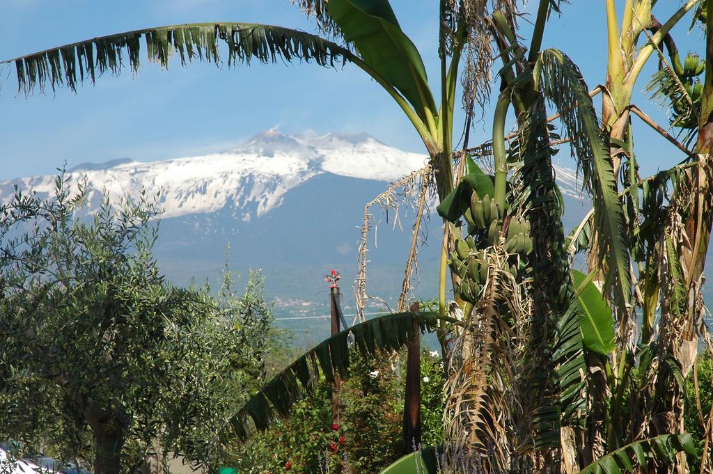 Agriturismo Dell'Etna Riposto ภายนอก รูปภาพ